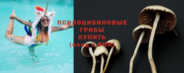 MESCALINE Лабытнанги
