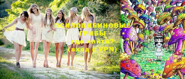 дмт Павлово