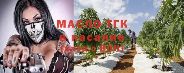 дмт Лиски
