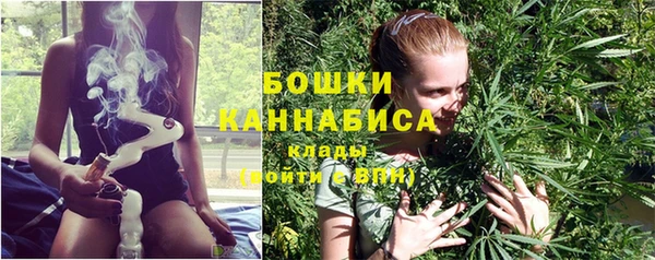 соль ск Ладушкин
