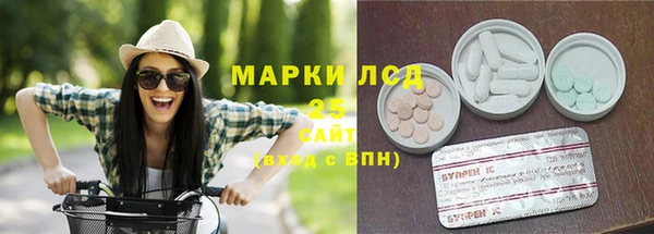 соль ск Ладушкин