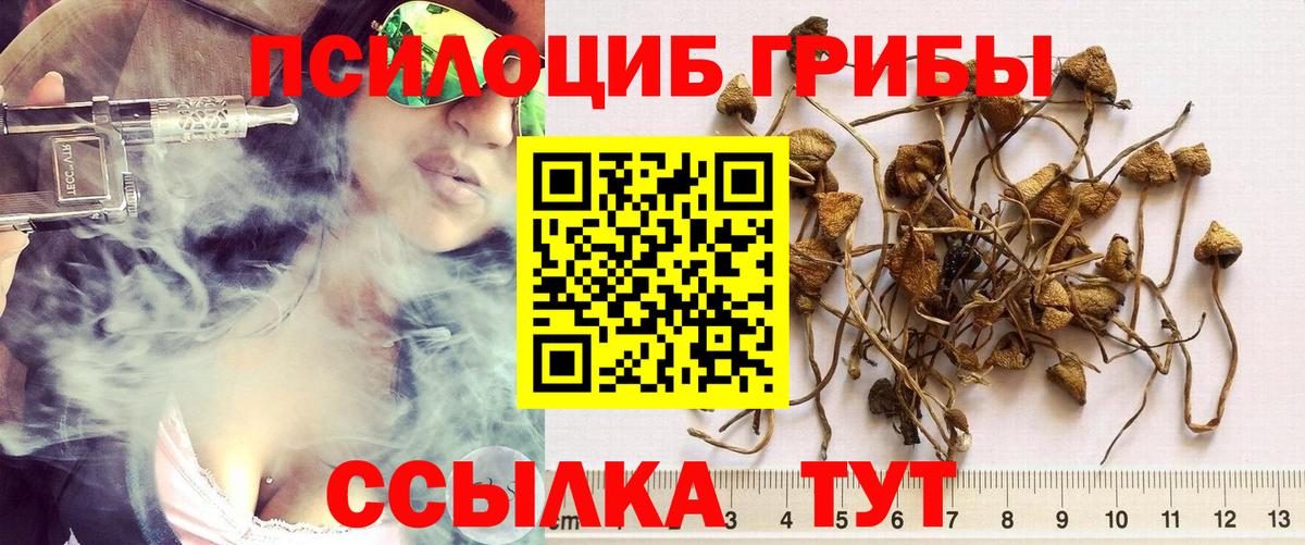 Галлюциногенные грибы ЛСД  Вход с VPN  Первоуральск 